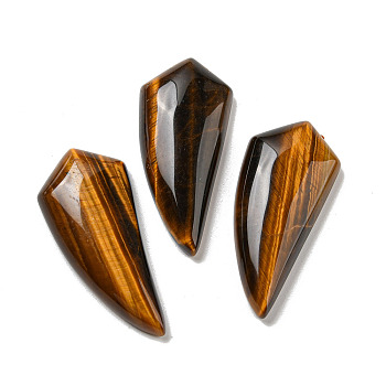 Natural Tiger Eye Pendants, Horn Charms, 39~40x18~18.5x6.5~8mm, Hole: 1.2mm