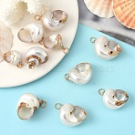 Electroplated Spiral Shell Pendants, with Iron Findings, Conch Charms, Golden, 24~37x18~28x13~23, Hole: 2mm(BSHE-YW0001-07G)