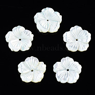 Natural White Shell Mother of Pearl Shell Beads, Flower, 15.5x15.5x2.5mm, Hole: 1mm(SSHEL-T014-42B)