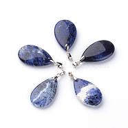 Natural Sodalite Pendants, with Brass Findings, teardrop, Platinum, 30x18x6mm, Hole: 5x4mm(G-Q484-A01)