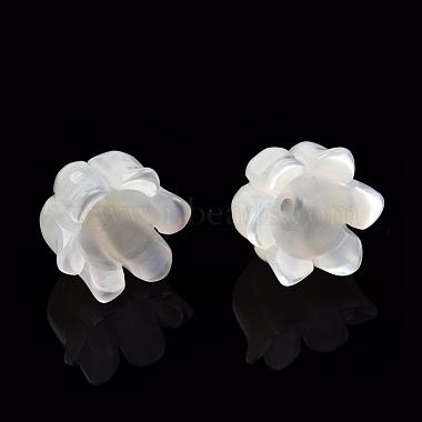 Natural White Shell Bead Caps(SSHEL-N032-58B)-4