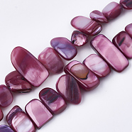Freshwater Shell Beads Strands, Dyed, Nuggets, Old Rose, 6~25x4~14x3~7mm, Hole: 1mm, about 96~100pcs/strand, 31.4 inch(SHEL-S274-40G)