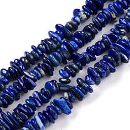Natural Lapis Lazuli Beads Strands, Grade A, Chip, Royal Blue, 3~5x7~13x2~4mm, Hole: 0.4mm, 34.9 inch(G-F328-15-A)