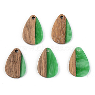 Opaque Resin & Walnut Wood Pendants, Teardrop, Green, 21.5x14.5x3mm, Hole: 2mm(RESI-S389-027A-C03)