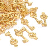 Alloy Pendants, Cadmium Free & Nickel Free & Lead Free, Skeleton Key, Golden Color, 30x11x2mm, Hole: 2mm(PALLOY-S604-G-FF)