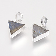 Natural Larvikite Pendants, with Brass Findings, Triangle, Silver Color Plated, 13.5~14x11x4~5mm, Hole: 4x6mm(G-F569-13S)