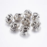 CCB Plastic Beads, Platinum, 24x18x18mm, Hole: 1mm(CCB-G007-24P)