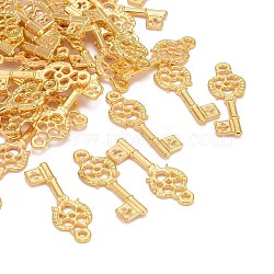 Alloy Pendants, Cadmium Free & Nickel Free & Lead Free, Skeleton Key, Golden Color, 30x11x2mm, Hole: 2mm(PALLOY-S604-G-FF)