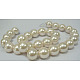 Shell Pearl Beads Strands(SP10MM205)-1