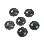 Natural Indian Agate Cabochons, Half Round, 18x6~8mm(G-T020-18mm-38)