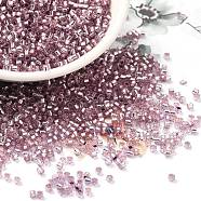 Glass Seed Beads, Silver Lined, Cylinder, Plum, 2x1.5mm, Hole: 1.4mm, about 5599pcs/50g(X-SEED-S042-04B-15)
