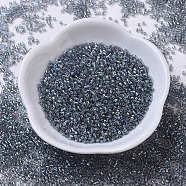 MIYUKI Delica Beads Small, Cylinder, Japanese Seed Beads, 15/0, (DBS0179) Transparent Gray AB, 1.1x1.3mm, Hole: 0.7mm, about 3500pcs/10g(X-SEED-J020-DBS0179)