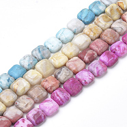 Dyed Natural Crazy Lace Agate Beads Strands, Square, 15~16x15~16x6~7mm, Hole: 1mm, about 26pcs/strand, 16.3 inch(G-S273-11)
