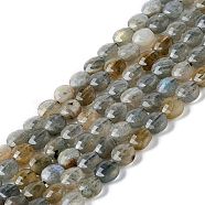 Natural Labradorite Beads Strands, Faceted, Flat Round, 5.5~6x3.5mm, Hole: 1mm, about 70pcs/strand, 14.88''(37.8cm)(G-D0003-A94)