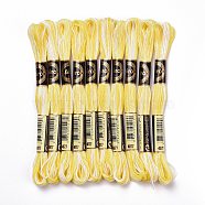 10 Skeins 6-Ply Polyester Embroidery Floss, Cross Stitch Threads, Segment Dyed, Yellow, 0.5mm, about 8.75 Yards(8m)/skein(OCOR-K006-A07)