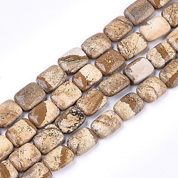 Natural Picture Jasper Beads Strands, Rectangle, 17.5~18.5x13~13.5x6~7mm, Hole: 1mm, about 22pcs/strand, 15.5 inch(G-T121-12)