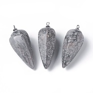 Natural Map Stone/Picasso Stone/Picasso Jasper Pointed Pendants, with Stainless Steel Findings, Cone, Stainless Steel Color, 50~53x19~21mm, Hole: 2mm(G-E541-10F)