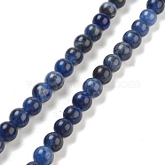 Sodalite Round Bead Strands, 6mm, Hole: 1mm, about 61pcs/strand, 15.2 inch(G-P070-46-6mm)