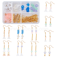 SUNNYCLUE DIY Dangle Earring Making Kits, Including Brass & 304 Stainless Steel & Acrylic & Glass Beads, Acrylic Bead Caps, Iron Findings and Brass Earring Hooks, Mixed Color(DIY-SC0001-62G)