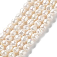 Natural Cultured Freshwater Pearl Beads Strands, Two Side Polished, Grade 6A+, Seashell Color, 9~10x9~10x8~9mm, Hole: 0.6mm, about 37pcs/strand, 14.96''(38~39cm)(PEAR-Z002-15)