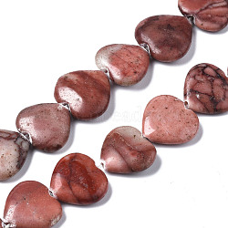 Natural Red Picture Jasper Beads Strands, Heart, 14~15x15~17x4~5mm, Hole: 0.6mm, about 20pcs/strand, 16.38 inch(41.6cm)(G-N0326-66)