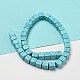 Dyed Synthetic Turquoise Beads Strands(G-G075-B02-01)-3