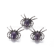 Natural Amethyst Brooch, with Alloy Findings and Glass, Spider, Antique Silver, 34~35x41~42x7mm, Hole: 3x5mm(G-A176-C09-1)