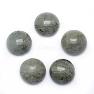 Natural Labradorite Cabochons, Grade A, Half Round, 6x3~3.5mm(X-G-P393-R47-6MM)