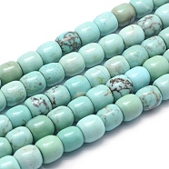 Natural Magnesite Beads Strands, Barrel, Dyed & Heated, 7.5~8x7.5~8mm, Hole: 1mm, about 47pcs/strand, 15.5 inch(39.3cm)(G-F578-06)