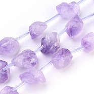 Natural Amethyst Beads Strands, Nuggets, 7~24x10~13mm, Hole: 1mm, about 18pcs/strand, 15.5~15.7 inch(39.5~40cm)(G-I250-03C)