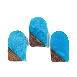 Resin & Wood Pendants, Arch Charms, Dodger Blue, 38x22.5x3.5mm, Hole: 2mm(WOOD-F015-13F)