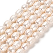 Natural Cultured Freshwater Pearl Beads Strands, Rice, Grade A, Linen, 8.5~10x7~8mm, Hole: 0.5mm, about 37~38pcs/strand, 14.57~14.76 inch(37~37.5cm)(PEAR-E016-062)
