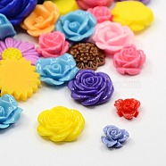Rein Cabochons, Flower, Mixed Style, Flower, Mixed Color, 11.5~27x5~13mm(CRES-MSMC002-M39)
