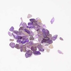 Natural Amethyst Chip Beads, No Hole/Undrilled, 3~9x1~4mm(X-G-L453-06)