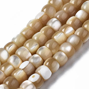 Natural Trochid Shell/Trochus Shell Beads Strands, Column, Seashell Color, 6x3~4mm, Hole: 0.8mm, about 101~102pcs/strand, 15.94 inch(40.5cm)