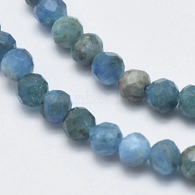 Natural Apatite Beads Strands(G-F547-37-5mm)-3