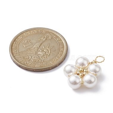 pendentifs enveloppés de fil de cuivre de perle de coquille(PALLOY-JF02198)-2