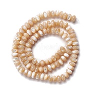 Natural Trochid Shell/Trochus Shell Beads Strands, Abacus Beads, Rondelle, Navajo White, 4x5~6mm, Hole: 0.9mm, about 105pcs/strand, 16.54 inch(42cm)(SSHEL-O001-24A-01)