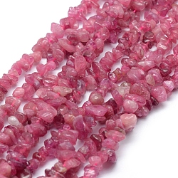 Natural Tourmaline Beads Strands, Chip, 3~5mm, Hole: 0.6mm, about 15.5~16 inch(39~40cm)(G-P332-67)