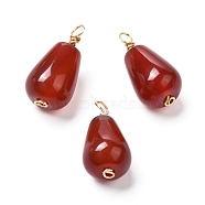 Natural Carnelian/Red Agate Bead Pendants, with Real 18K Gold Plated Eco-Friendly Copper Findings, Teardrop, 20x10mm, Hole: 2~2.8mm(PALLOY-JF00865)