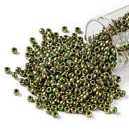 TOHO Round Seed Beads, Japanese Seed Beads, (1702) Gilded Marble Green, 8/0, 3mm, Hole: 1mm, about 1110pcs/50g(SEED-XTR08-1702)