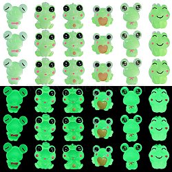 36Pcs 6 Styles Frog Luminous Resin Display Decorations, Glow in the Dark, for Car or Home Office Desktop Ornaments, Mixed Shapes, 16~20x16~24x16~25mm, 6pcs/style(RESI-SZ0003-45)