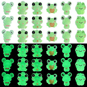 36Pcs 6 Styles Frog Luminous Resin Display Decorations, Glow in the Dark, for Car or Home Office Desktop Ornaments, Mixed Shapes, 16~20x16~24x16~25mm, 6pcs/style