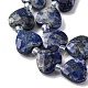 Natural Lapis Lazuli Beads Strands(G-P570-E12-01)-4
