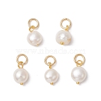 Natural Cultured Freshwater Pearl Potato Charms, with Brass Loops & 304 Stainless Steel Jump Rings, Floral White, Golden, 11.5x8.5mm, Hole: 4mm(PALLOY-JF03920-02)