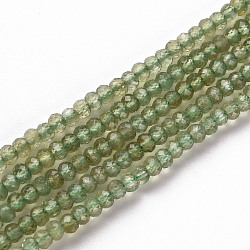 Natural Apatite Beads Strands, Rondelle, Faceted, 3x2mm, Hole: 0.5mm, about 188~190pcs/strand, 15.35 inch(39cm)(X-G-S362-100)