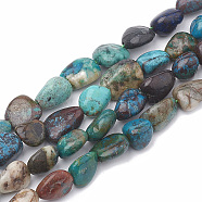 Natural Chrysocolla Beads Strands, Oval, Colorful, 8~15x8~10x4~10mm, Hole: 1mm, about 36~42pcs/strand, 15.7''(39.9cm)(G-S331-8x10-003-01)