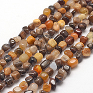 Natural Petrified Wood Beads Strands, Chip, 3~5x3~5x3~8mm, Hole: 1mm; about 85~90pcs/strand, 15.7 inches(40cm)(G-F465-20B)