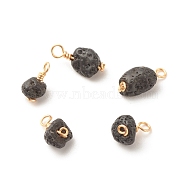Luster Natural Lava Rock Charms, with Golden Tone Brass Wire Wrapped, Nuggets, 10~14x6~7x5~6mm, Hole: 1.5~2.3mm(PALLOY-JF01569)