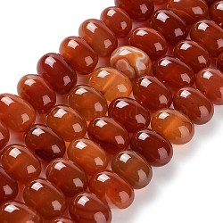 Natural Agate Beads Strands, Dyed & Heated, Egg, FireBrick, 15~17x11~12mm, Hole: 1.6mm, about 14~15pcs/strand, 6.69~6.89 inch(17~17.5cm)(G-G021-03A-06)